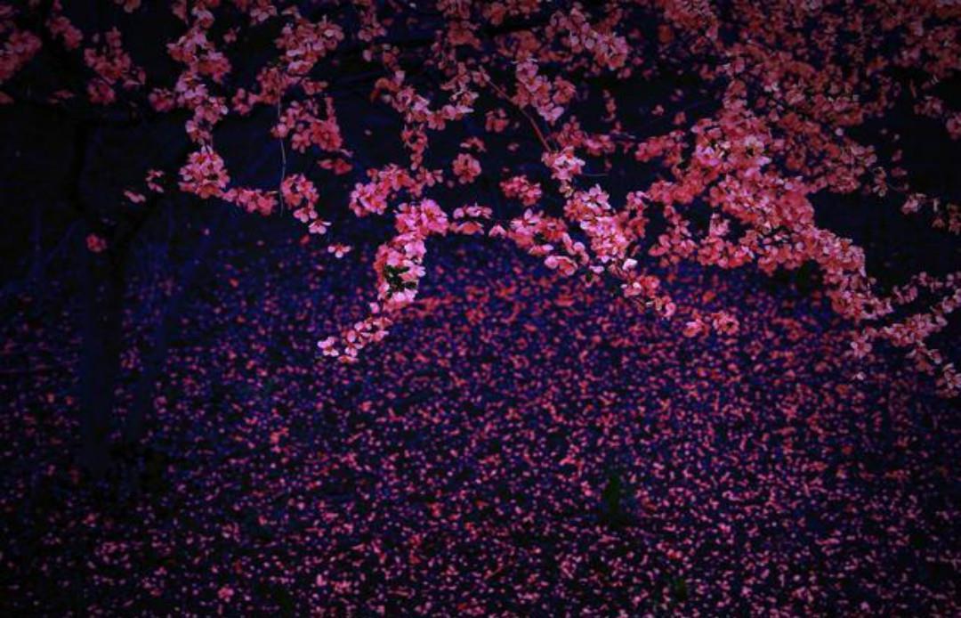 春深|清初大诗人施闰章一首《山行》,同样写得很美,山野春景如诗如画