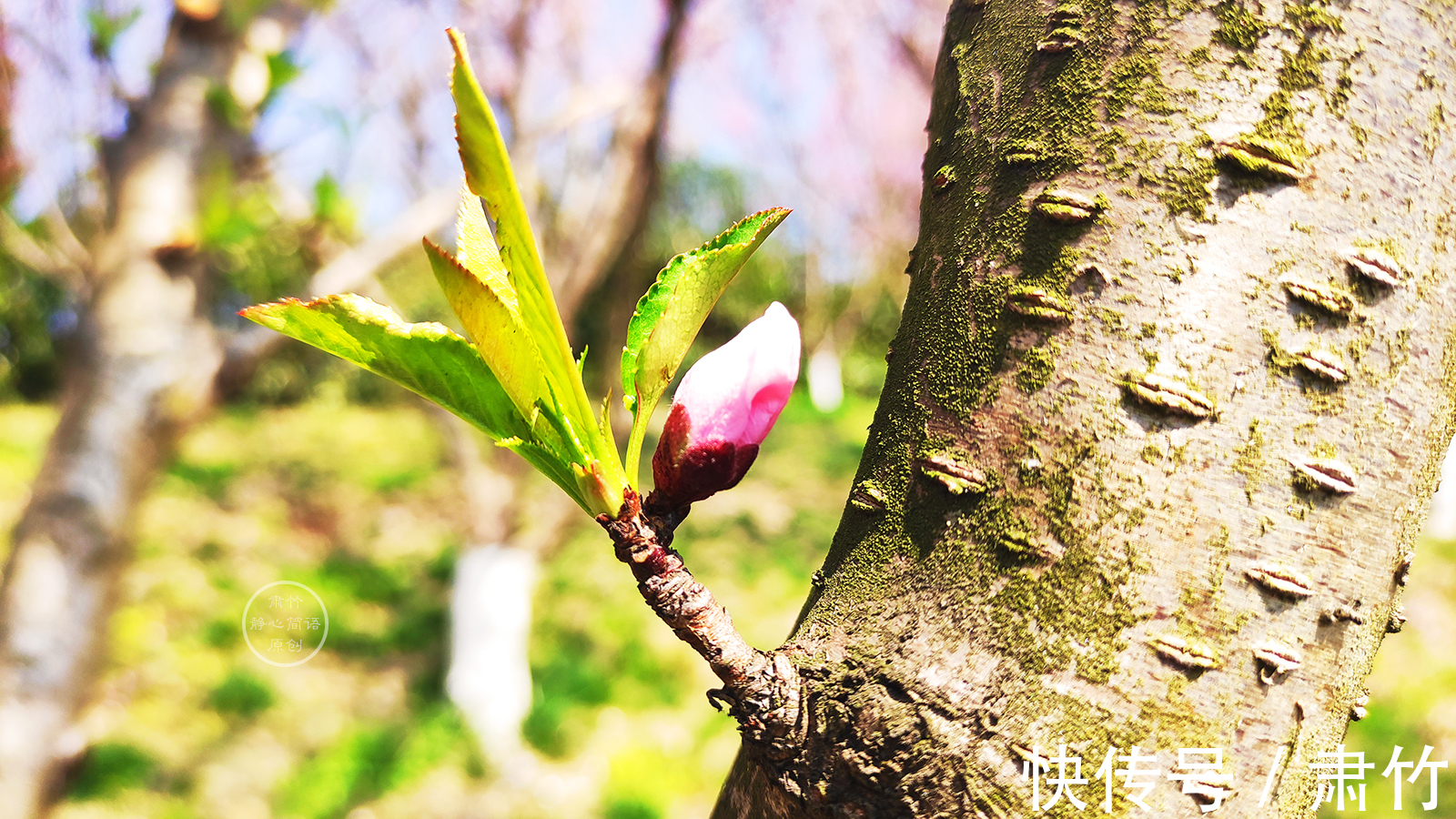 媒戒|你把别人的痛点抓在手中,人家会爽吗