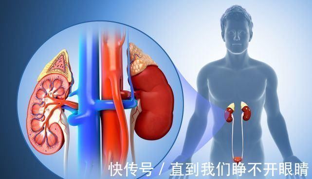 糖尿病人|糖尿病人最好看一下常吃大豆，到底是升血糖，还是降血糖