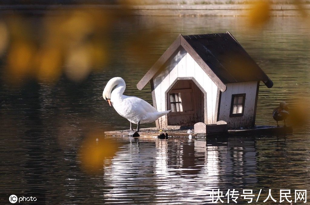 莫斯科|俄罗斯莫斯科秋日浪漫 心形湖向你“比心”