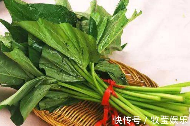 秋葵|想长寿要会吃,3种食物离不开,护肝排毒,给身体做个大扫除