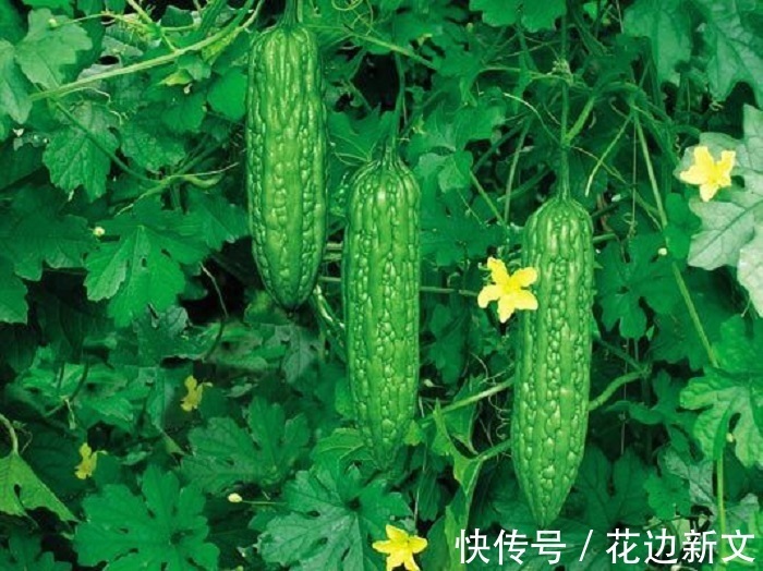 大蒜|男人若有前列腺炎，多吃4种食物，远离炎症更健康