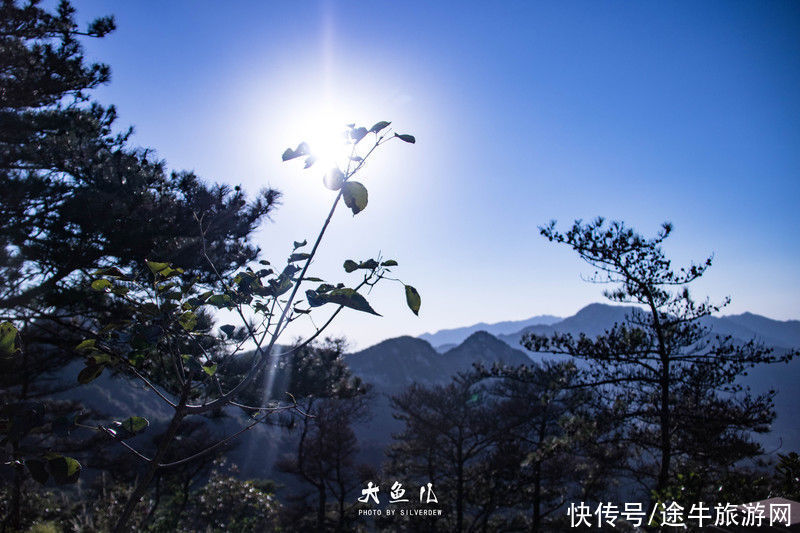 玻璃桥|落日余晖，一颦一笑染尽迷人秋色，遇见古老神秘之国—沂蒙山