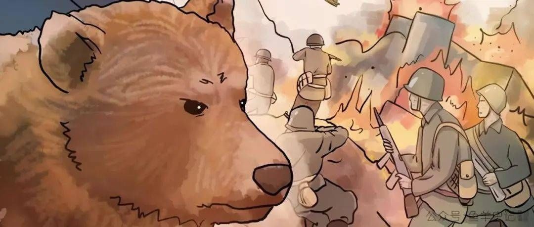 波兰部队|一只爱抽烟喝酒的棕熊，居然还成为了二战英雄