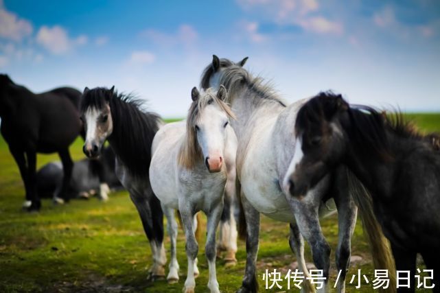 人性格|农历十一、十二月，好运傍身，霉运小人远离，正财偏财聚集的生肖