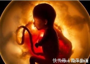 嫌弃|宝宝在妈妈肚子里的时候,便便都去了哪里妈妈知道了别嫌弃!