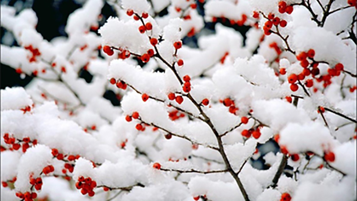 陆聿@陆游富于哲理的一首诗,最后两句人尽皆知,却不知前两句也很重要