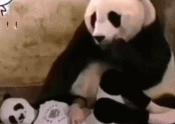 |搞笑GIF：今天和女朋友出门忘记带药怎么办