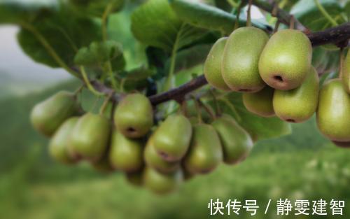 食物|医生常吃5种食物的人,很难得高血脂,可是多数人都不爱吃