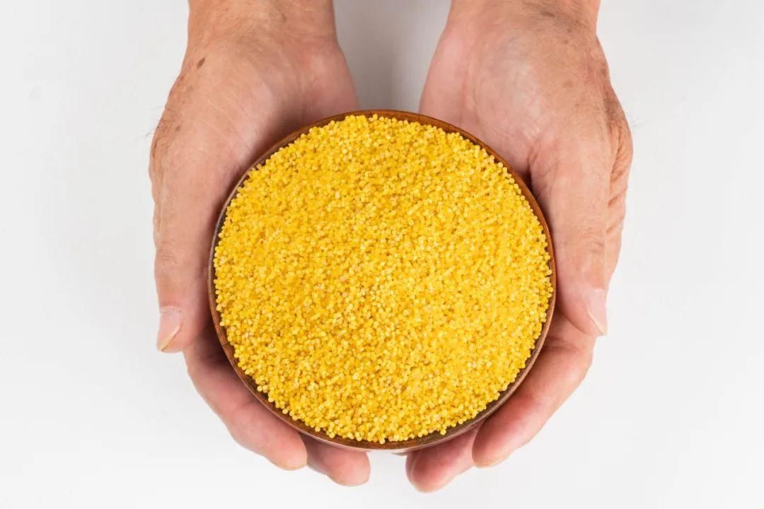 山楂|脾胃伤则百病生，教你几招养好脾胃！