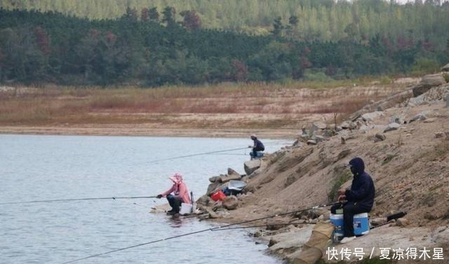 蓝鲫加鸡蛋，冬钓鲫鱼口不断！加了“营养”的饵料真的能爆连吗