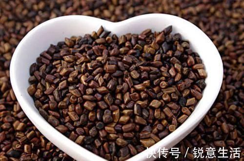 鱼肉|肝不好的人,谨记多吃这几样食物,修复肝细胞,肝脏更舒服