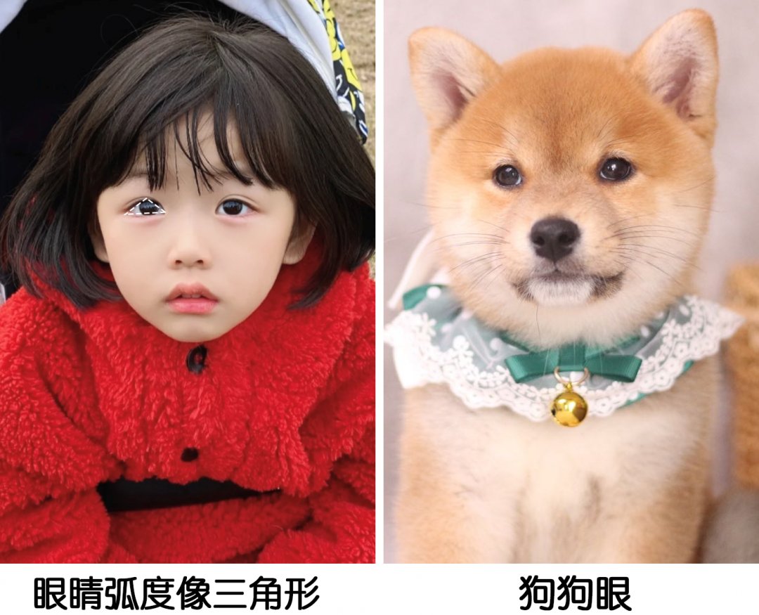 眼睑|双眼皮、大眼睛已经过时了，现在的美女标准是这样..