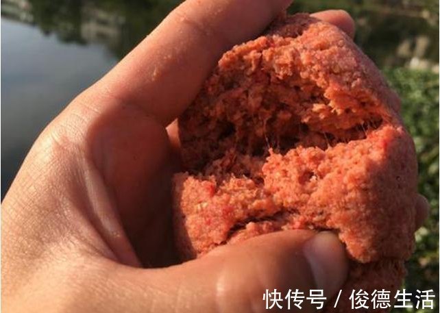 专攻|老钓友私藏配方，专攻野生鲫鱼，制作简单效果好，别错过