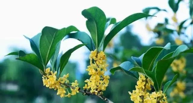 诗词|秋分时节, 遇见最美的秋分诗词!