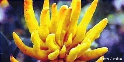 半个月|胃不好,养生中医教你“这么吃”,半个月内就能摆脱胃病!