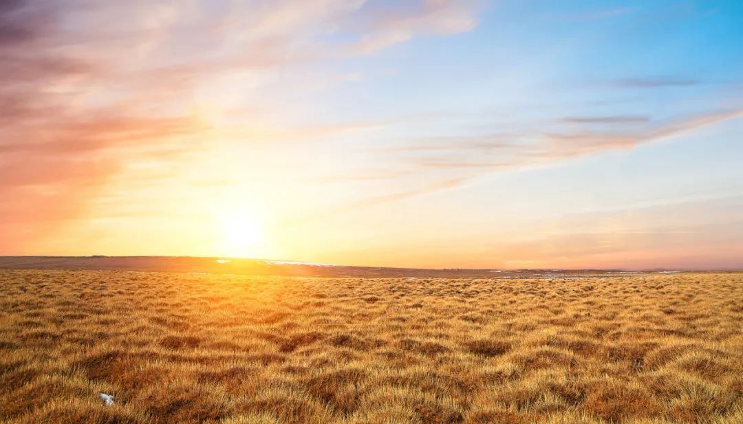 进补|【健康】秋冬进补好时节,养生药膳这样吃更有效
