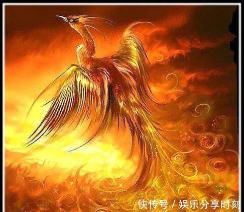 雉鸡&历史上五大谜团,至今无人解释,我们知道哪些