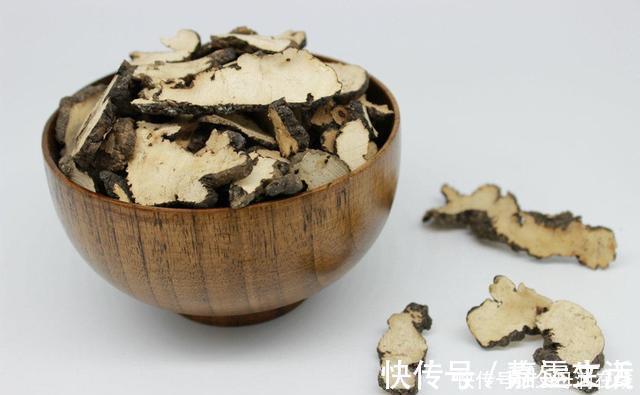 猪苓|有一味中药取名不太雅，善于利水祛湿，去湿气诸药“无如此快”