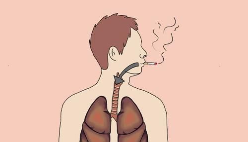  为啥|为啥有人一辈子抽烟，也不得肺癌？医生分析出几个原因，早点了解