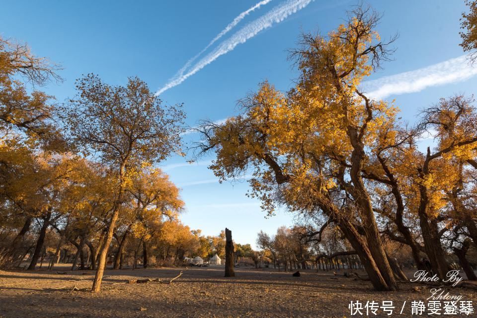 电影《英雄》取景地--内蒙额济纳，记录炫丽迷人的七彩丹霞地貌