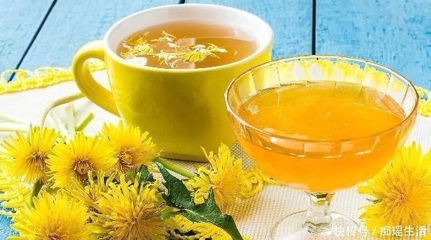 蒲公英茶|蒲公英有个“好搭档”,搭配饮用,坚持30天后,让你更年轻!
