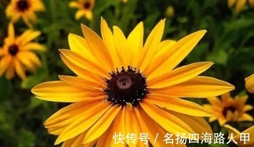 桃花|8天内，福星降临，天赐良机，财源滚滚，桃花旺盛，不缺追求者