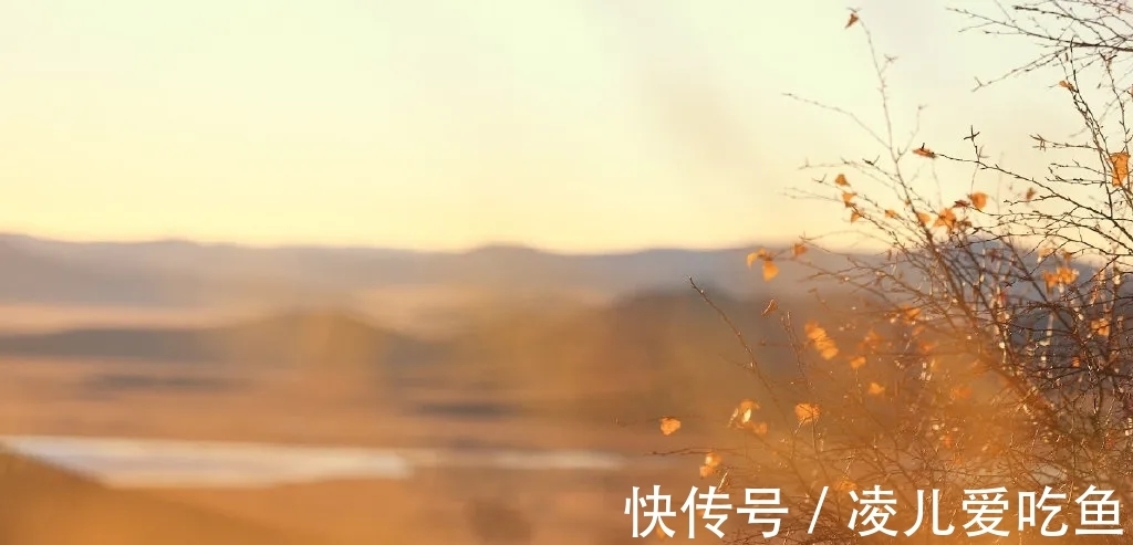 詩人$山長不見秋城色,日暮蒹葭空水云。兩首送別詩,情深意長含蓄深沉