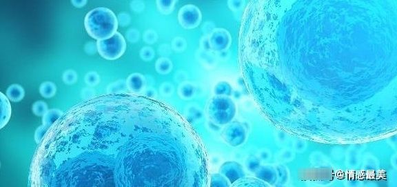 激素分泌|都是怀孕,为何有人孕吐厉害,有人却没事?或许与胎宝有关系!