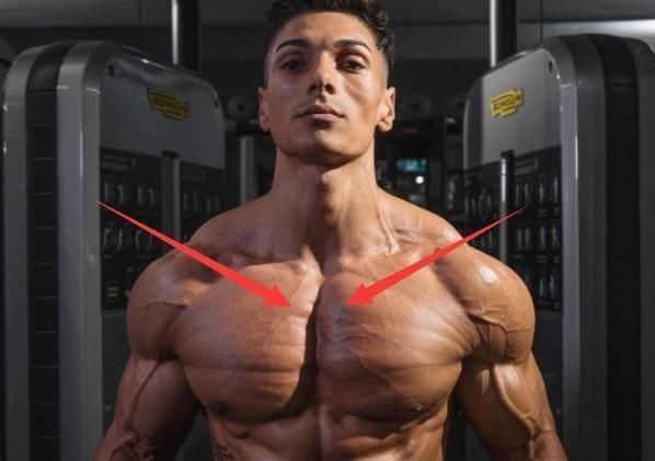 卧推|同样是练胸肌，一个选择卧推一个选择夹胸，最后效果差距有多大