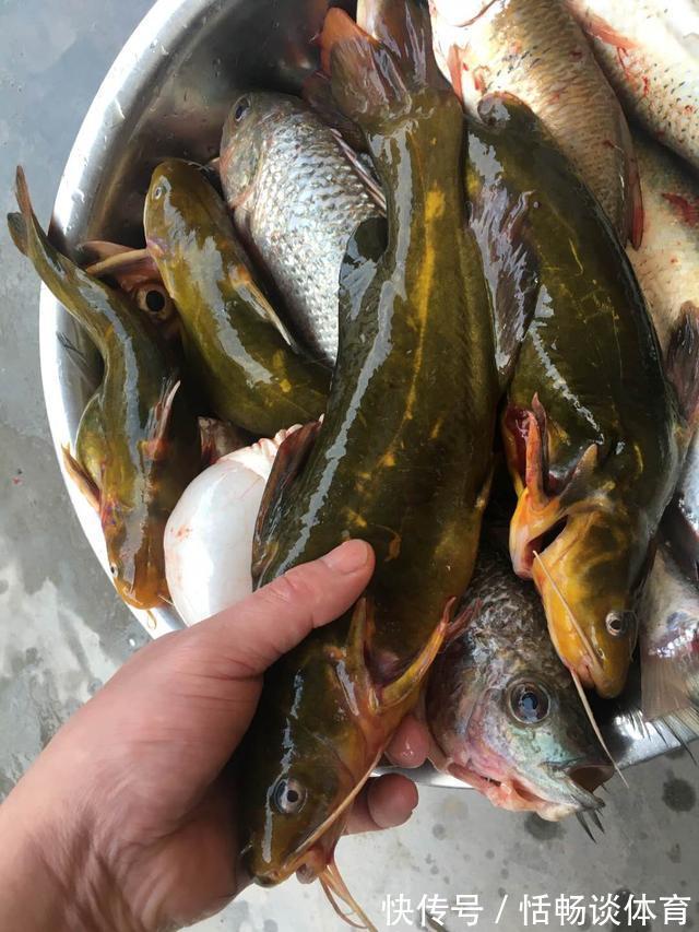 蓑笠哥|这几种昂贵鱼即将停口，再不钓要等明年，攻略分享