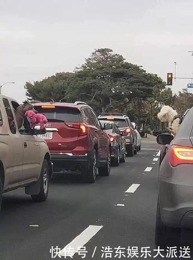堵车时两只狗把头探出窗外,还以为在示好呢,看清后发现竟是炫耀
