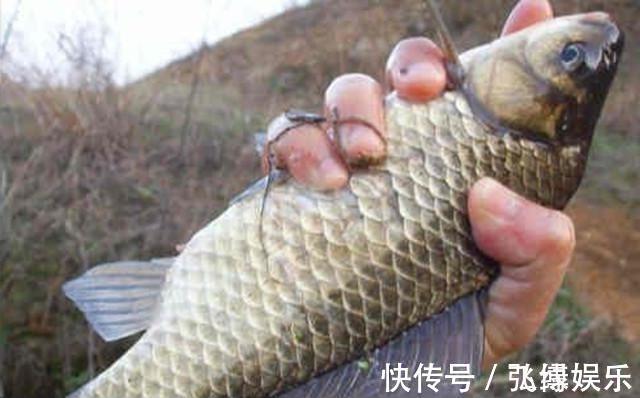 为了钓鱼真的不容易,要再遇到这些事就更糟心了,你们遇到过吗