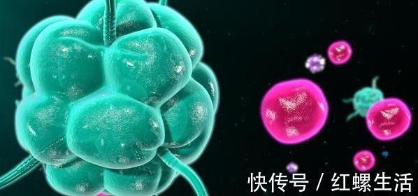 免疫細胞|腫瘤竟能關閉免疫細胞活力按鈕，治療腫瘤方法在哪，你找到沒？