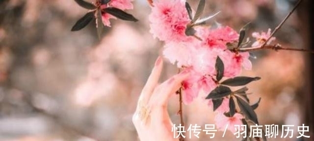 崔郊#纳兰性德经典绝美之作,仅开头7个字就够惊艳,最后一句令人断肠