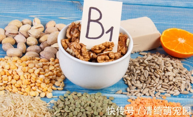 辅酶q10|心脏不好?或是缺乏这5种营养元素,建议要多吃粗粮多吃鱼等食物