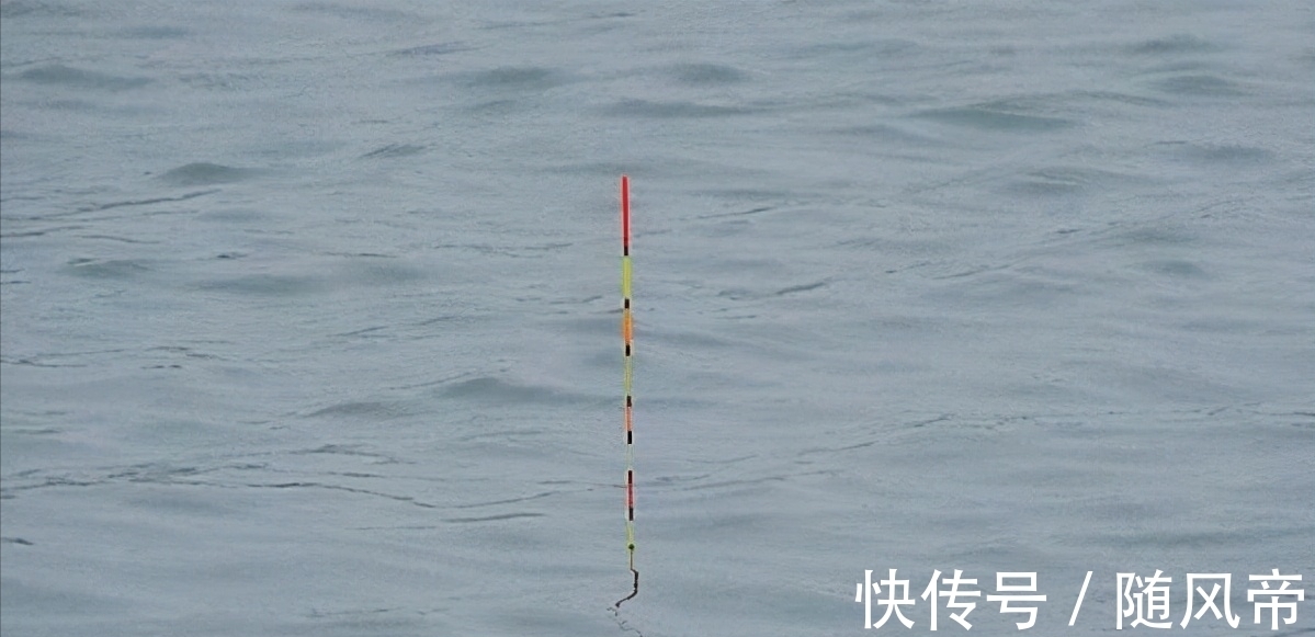 钓深水调漂，想要漂讯精准误差小，这两种方法都可以