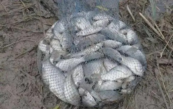 天气冷了,这个选钓位的“绝招”让你连杆不停!