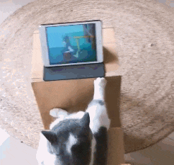 |搞笑GIF:你永远不知道 女生为了减肥对自己有多狠