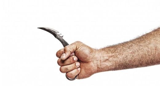 弯刀|电影《战狼》里造型别致的小弯刀，竟是源自东南亚收水果的镰刀