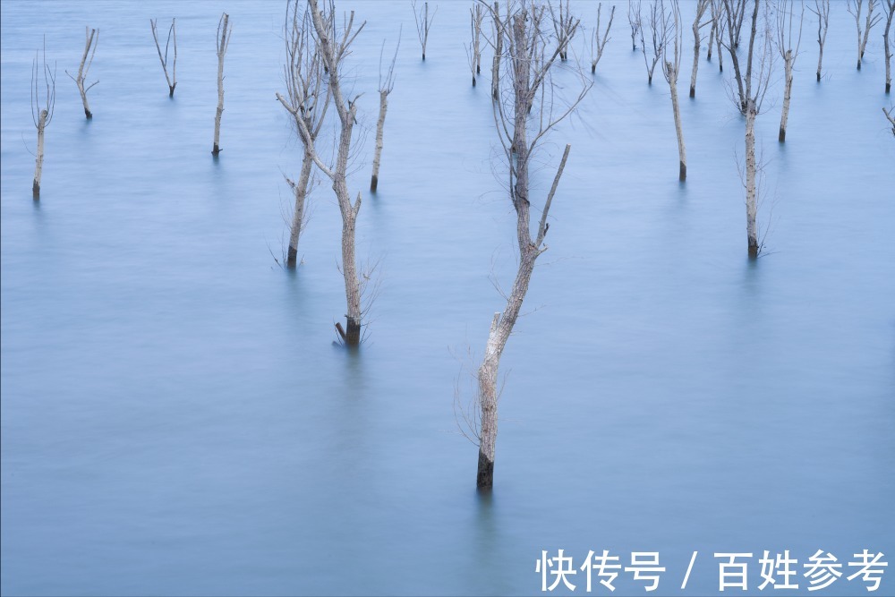 春季钓鲫鱼,什么钓位是首选?这6个钓位别错过,鱼获多多