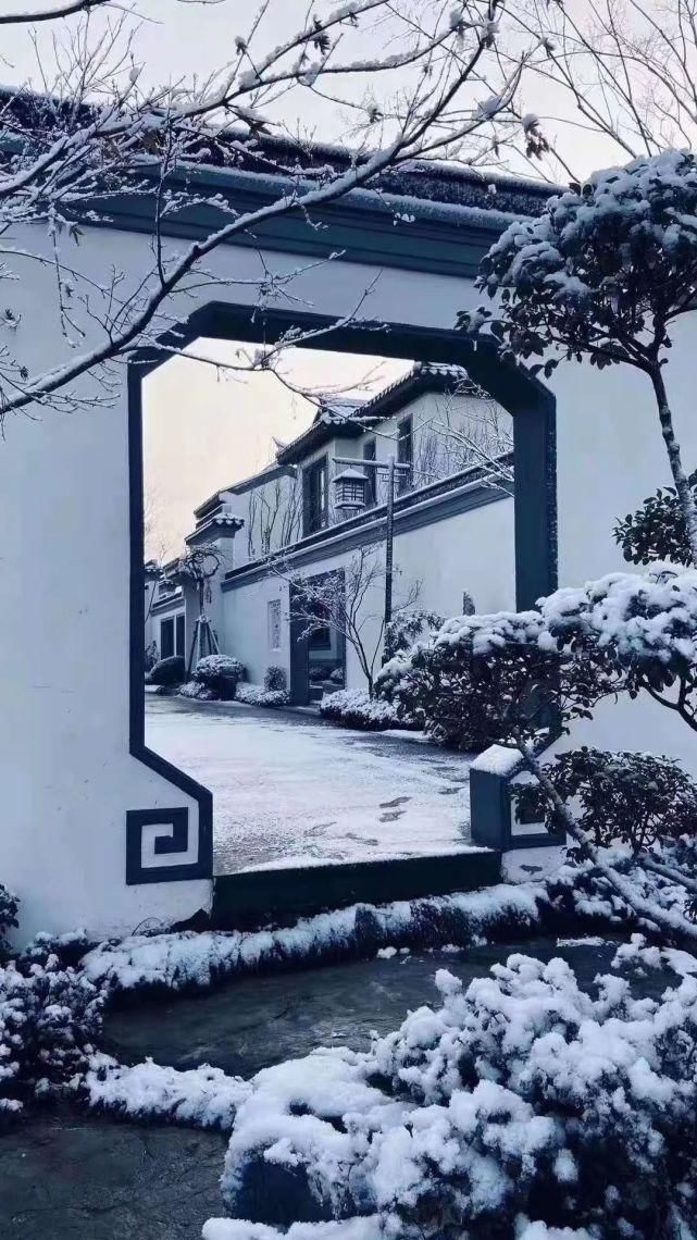 一场雪，美了齐鲁，醉了酒地！