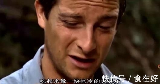 食物链|“食物链顶端”的贝爷,为何消失了?