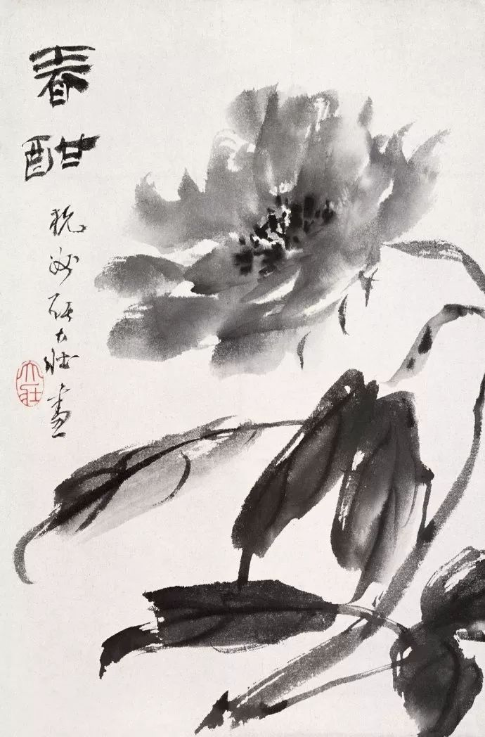 华新罗&张大壮：人淡如菊，以“没骨法”画虾，自创一格