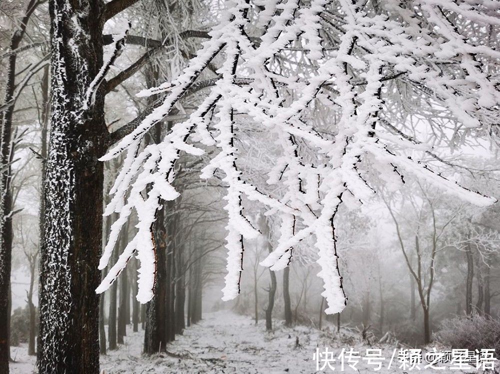 雪景|大雪、暴雪，宁波六处赏雪地，雪景很美安全第一