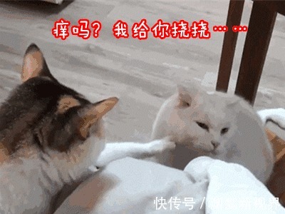 办法|大人或孩子皮肤过敏很痒,可以试试这个物理办法!