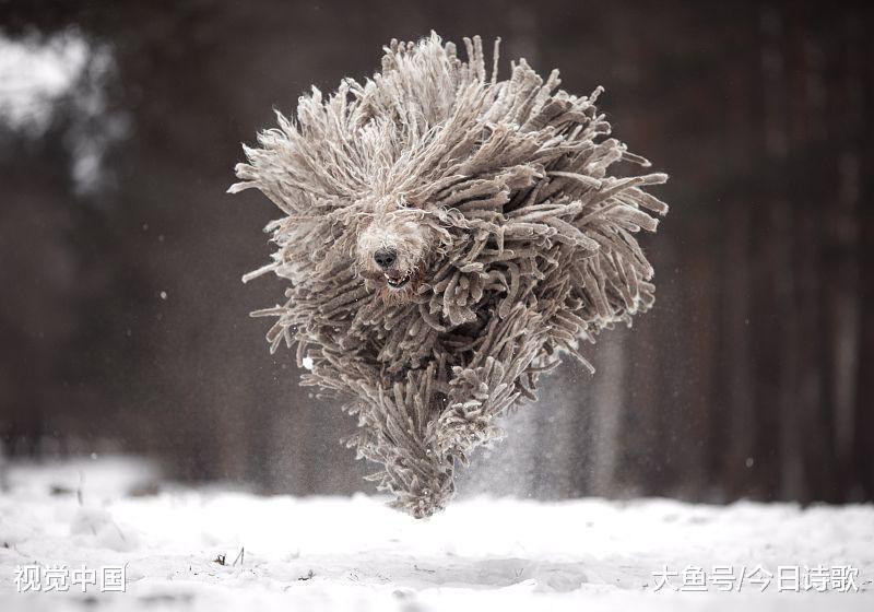 李白!史上脑洞最大的一首词, 奇特的想象力冠古绝今!