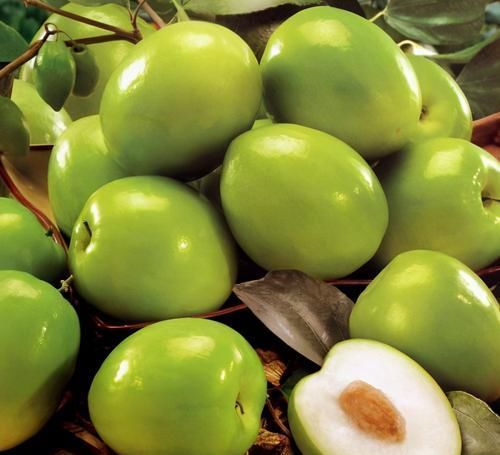 冬天适合常吃3种食物,养胃促消化,润肠通便,甩掉大肚腩!