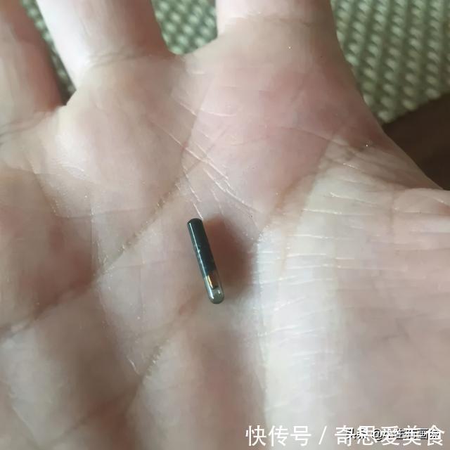 网络&网络有多“恐怖”?不管你问什么,“万能”的网友都知道