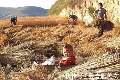 生活环境|“有福之人六八月，无福之人正腊月”这话靠谱吗？别傻傻分不清楚